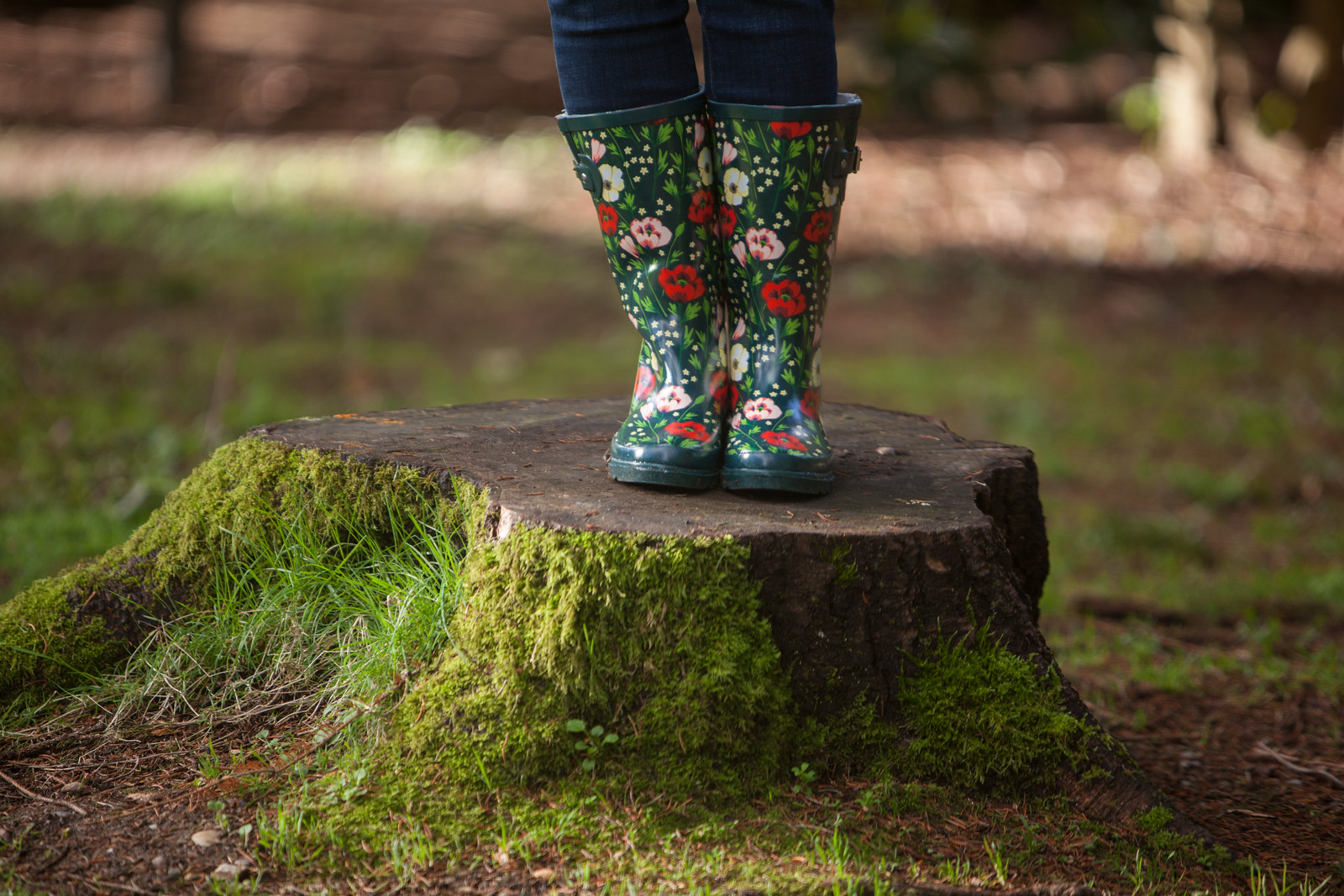 Rainboots 